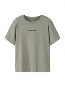 NAME IT Футболка 'NKMBRODY' в сером цвете