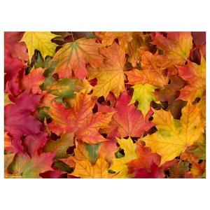 Подставка для столовых приборов «разноцветные листья» (набор из 12 шт.) Tischsetmacher, мультколор