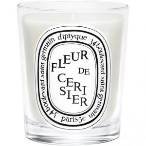 Свечи и восковые пластины Diptyque