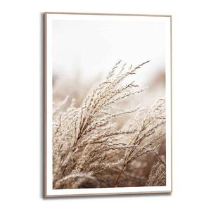 Картина с рамкой Reinders Strand Meer Dünen, бежевый