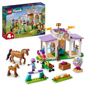 LEGO Friends - Дрессировка лошадей (41746) БЛОКИ ПОДАРОК