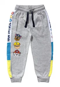 Спортивные штаны Paw Patrol, Grey