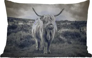 Подушка для улицы - Шотландский горный скот - Животные - Облака - Корова - Природа - 60 x 40 см - Устойчива к погодным условиям - Подушка для отдыха - Декоративная подушка - Подушка для дома MuchoWow