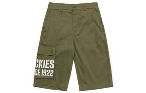 Повседневные шорты мужские зеленые Dickies, зеленый