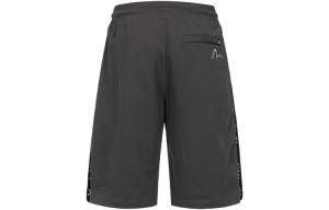 Спортивные шорты мужские угольно-серые Evisu, серый