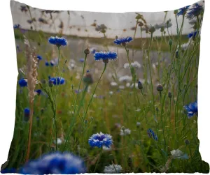 Подушка для улицы - Цветы - Лето - Василек - Синий - Солнце - Облака - 60x60 см - Устойчива к погодным условиям - Подушка для отдыха - Декоративная - Подушка для сна MuchoWow