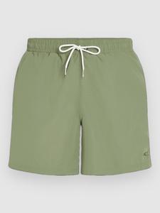 Пляжные шорты O'Neill Vert 16'' Boardshorts, avery fern