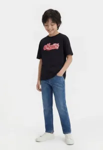 Футболка унисекс с принтом lustre Napapijri, Black Beauty