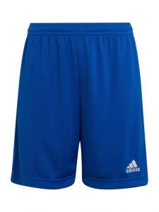 Спортивные шорты regular fit Entrada 22 HG6291 Adidas, синий