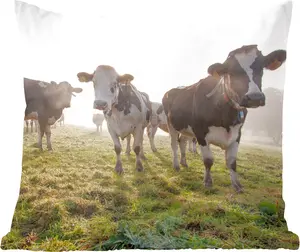 Декоративная подушка для дивана, декоративная подушка для гостиной, 45x45 см, корова - трава - туман - подушка для сна - диванная подушка MuchoWow