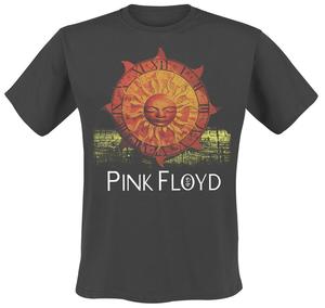 Футболка Pink Floyd Brockom 84, угольный