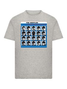 Футболка F4NT4STIC, пятнистый серый