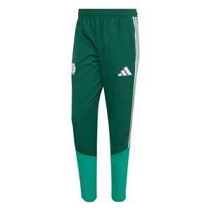 Обычные спортивные штаны ADIDAS PERFORMANCE Algerien 26, изумрудный/темно-зеленый
