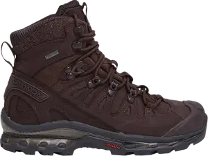 Кроссовки Quest 3 4D GORE-TEX Chocolate Plum, коричневый