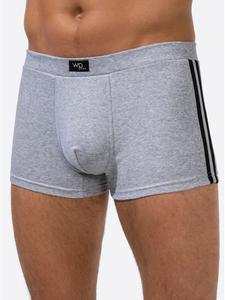 Брюки серого меланжа WITT WEIDEN