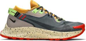 Кроссовки Nike Pegasus Trail 2 GTX 'Smoke Grey Bucktan', серый