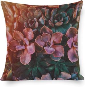 MaSiledy Декоративная наволочка с принтом тропических растений и кактусов Pattern-4