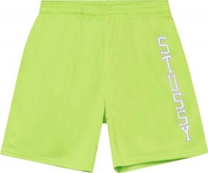 Шорты Stussy Collegiate Mesh Short 'Green', зеленый