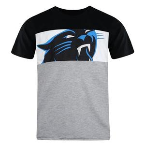 Мужская футболка с панелями Fanatics NFL Carolina Panthers Fanatics, мультиколор