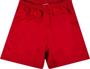 Шорты Supreme Arc Logo Water Short 'Red', красный