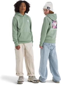 Толстовка с капюшоном унисекс-для детей Evolution Box Nse от The North Face, Slate Moss