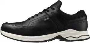 Мужские кроссовки Mizuno The Ld GTX 2, черный