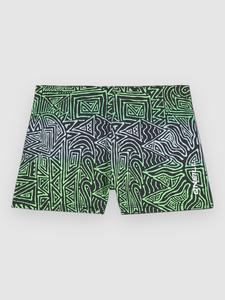 Пляжные шорты O'Neill Racers Kids Boardshorts, blue gradikat