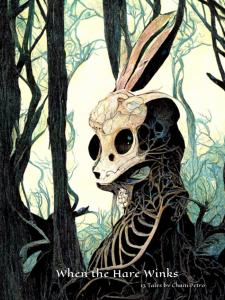 When the Hare Winks: 13 Illustrated Macabre Tales (hardcover) (Independently published)