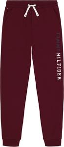 Tommy Hilfiger Boy's Tomas Jogger (Big Kid), Leg Print Port