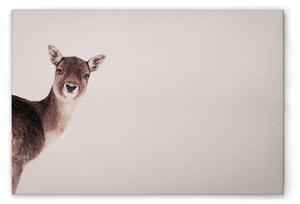 Картина на холсте A.S. Création Deer Rose цвет beigebrauncremeschwarz