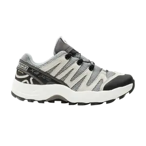 Кроссовки BEAMS x XA Pro 1 GTX Salomon, серый