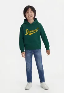 Толстовка унисекс relax Dsquared2, Posy Green