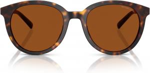 Michael Kors мужские солнцезащитные очки Mk2227 Big Bend Round, Dark Tortoise/Brown Solid