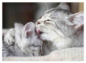 Коврик для душа Wallario, нескользящий коврик, коврик для ванной, коврик для двери, милые полосатые котята, размер примерно 70 х 50 см, коричневый