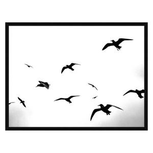 Картина Any Image Flaying Seagulls, 82x62x2,6 см