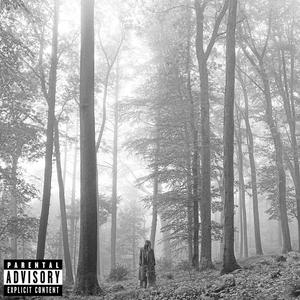 Виниловая пластинка LP folklore [Beige Vinyl] - Taylor Swift