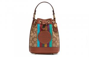 COACH Дамская коричневая сумка через плечо с монорамкой