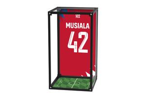 Фигурки в масштабе AcePlayer