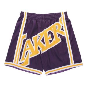 Спортивные шорты Mitchell & Ness x NBA Big Face Shorts 'Los Angeles Lakers', фиолетовый