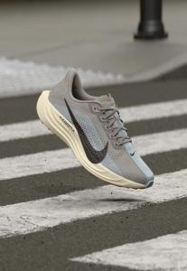 Кроссовки Nike Performance PEGASUS PLUS, College Grey/Med Ash/Pure Platinum-Coloured/Pale Ivory/Med Brown/Grey