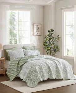 Комплект постельного белья Darcy Print из 3 предметов, размер King Madison Park, шалфейный