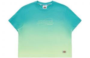 Dickies Женская футболка, цвет Acid Yellow