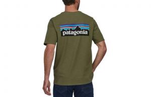 Футболка P 6 Logo Responsibili Patagonia, зеленый/wygn