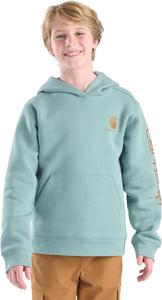 Детская толстовка Carhartt CA6272 с длинными рукавами и принтом - для мальчиков, Patina