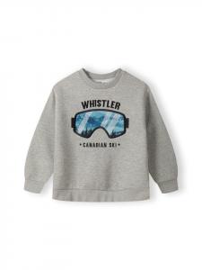 Толстовка Minoti, серый