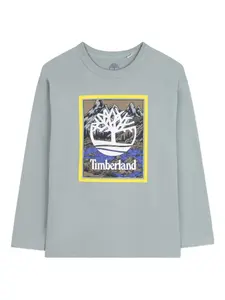 Футболка с длинными рукавами и графическим принтом Timberland Kids, серый