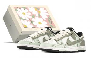 Nike Женские кроссовки для скейтбординга Dunk Abrasion Resistant низкие бежевый green