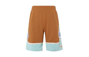 Баскетбольные шорты Badfive мужские янтарно-коричневые Lining, коричневый