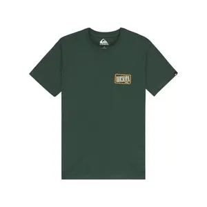 Детская футболка Ev Gotam Foam Quiksilver, темно-зеленый