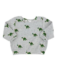 Мальчиковый худи с принтом динозавров в сером цвете хизер Oh baby!, серый